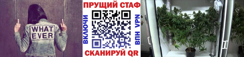 Купить наркотик аптеки Жердевка АМФ Меф мяу мяу Бошки Шишки СОЛЬ