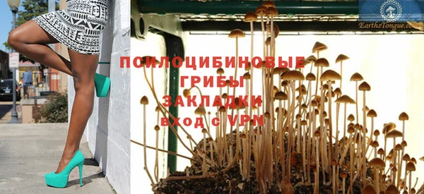 спиды Волосово