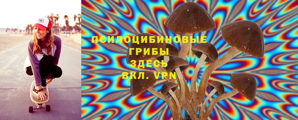 MDMA Premium VHQ Бронницы