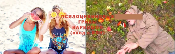 спиды Волосово