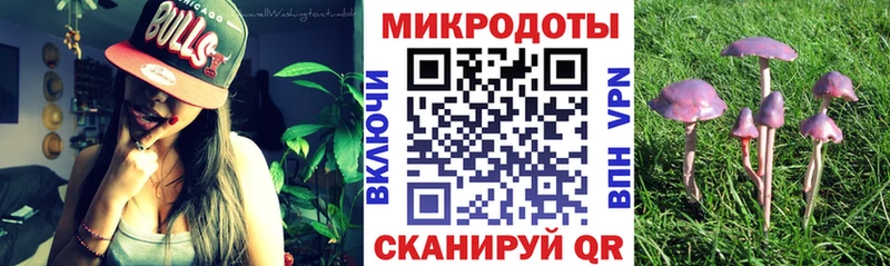 продажа наркотиков  Жердевка  Псилоцибиновые грибы Magic Shrooms 