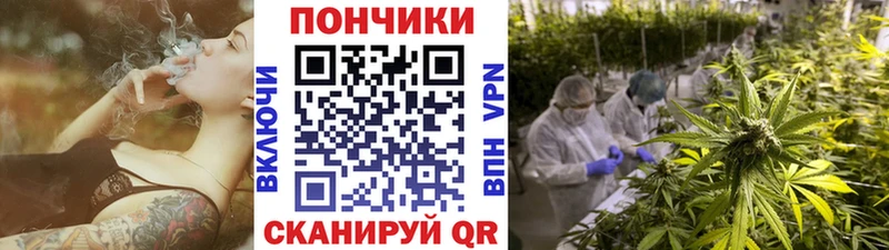 Бошки Шишки White Widow где продают наркотики Жердевка